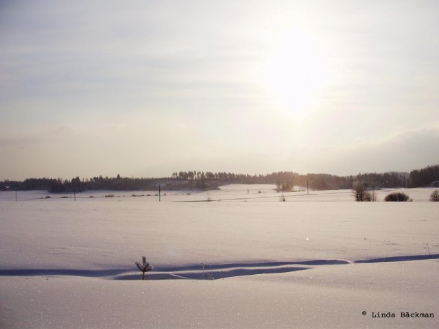 Vinter